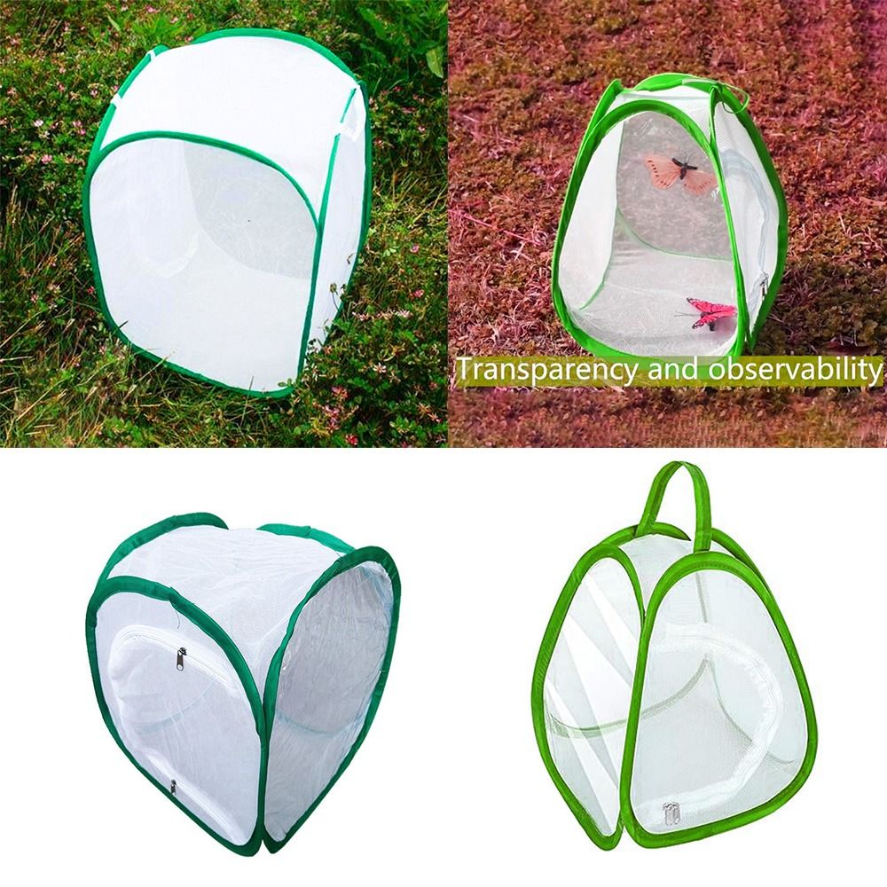 Green Screen Collapsible - Jaula plegable verde para insectos, caja