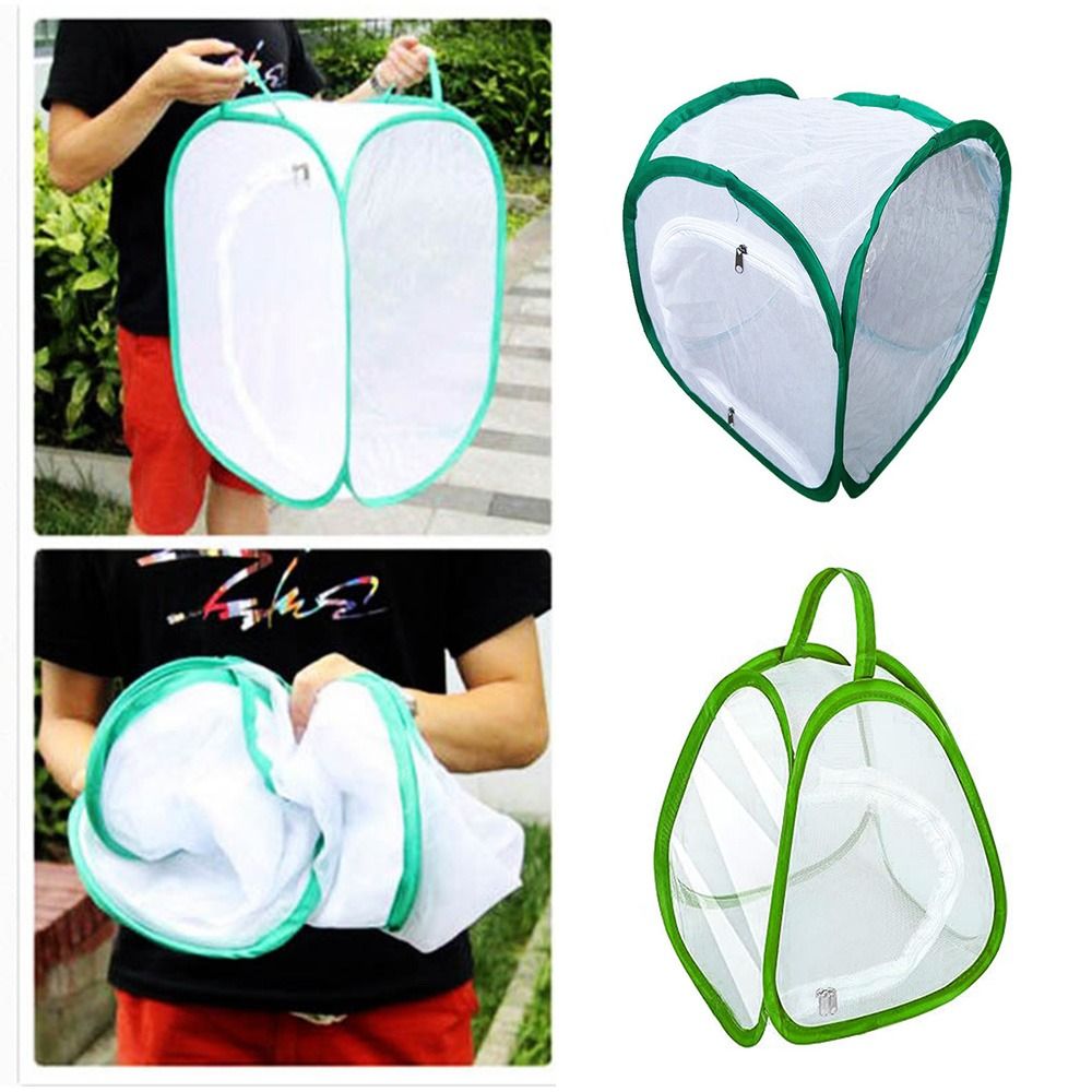 Green Screen Collapsible - Jaula para insectos plegable verde, malla