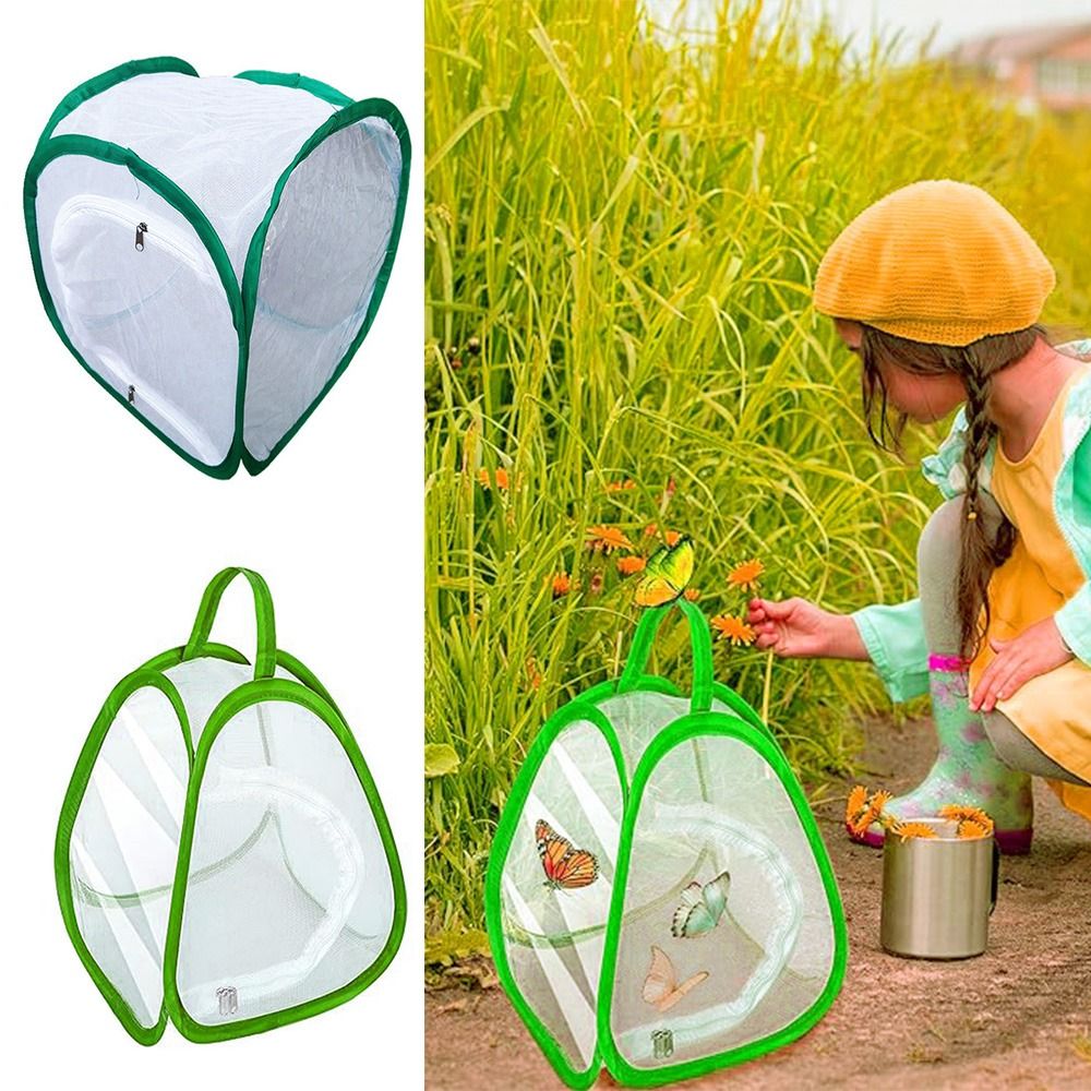 Green Screen Collapsible - Jaula para insectos plegable verde, malla