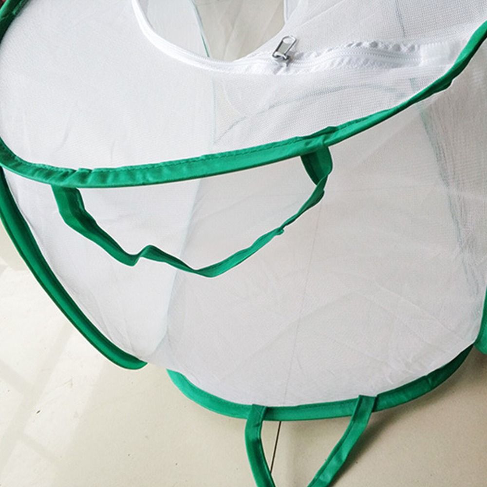 Jaula plegable verde para inse - Green Screen Collapsible reseña y precio
