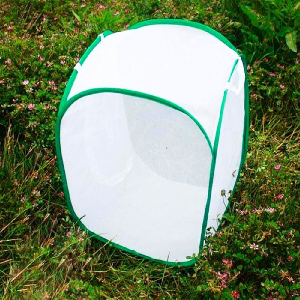 Jaula para insectos plegable v - Green Screen Collapsible reseña y precio