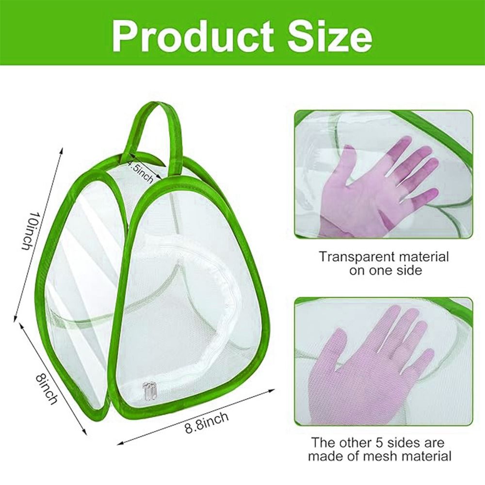 Jaula para insectos plegable v - Green Screen Collapsible reseña y precio