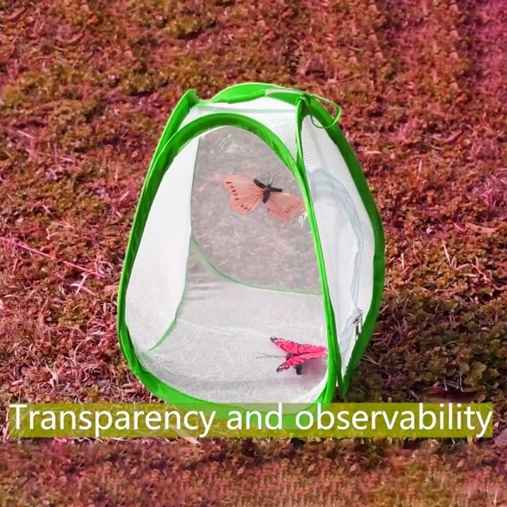 Jaula para insectos plegable v - Green Screen Collapsible reseña y precio