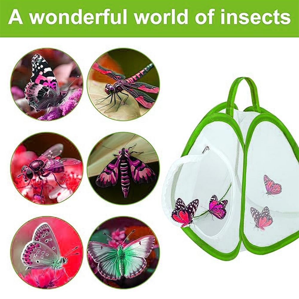 Jaula para insectos plegable v - Green Screen Collapsible reseña y precio