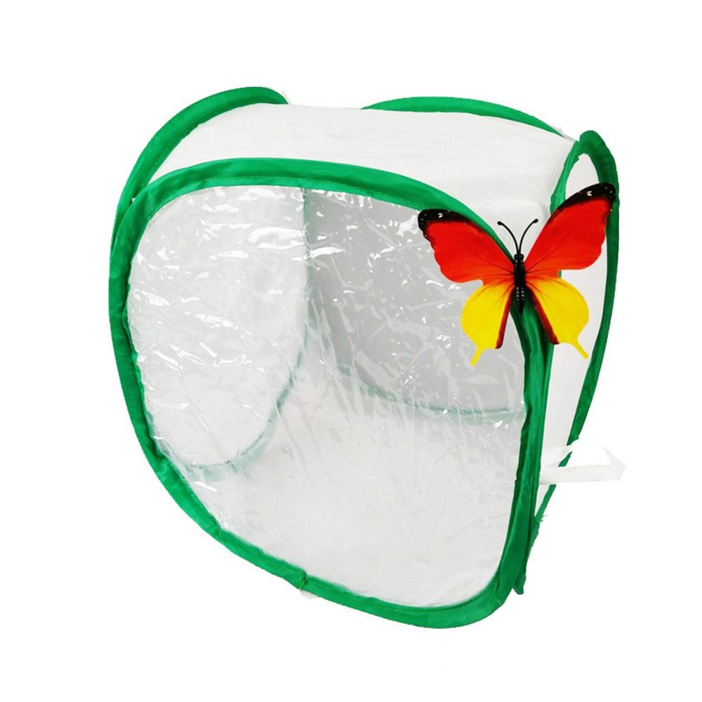 Jaula para insectos plegable v - Green Screen Collapsible reseña y precio