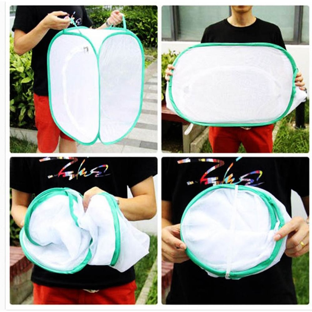 Jaula para insectos plegable v - Green Screen Collapsible reseña y precio